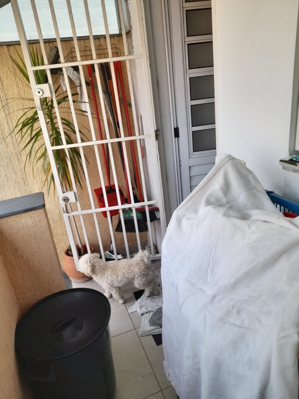 Casa, 3 quartos, 200 m² - Foto 11