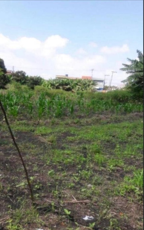 Terreno, 6000 m² - Foto 3