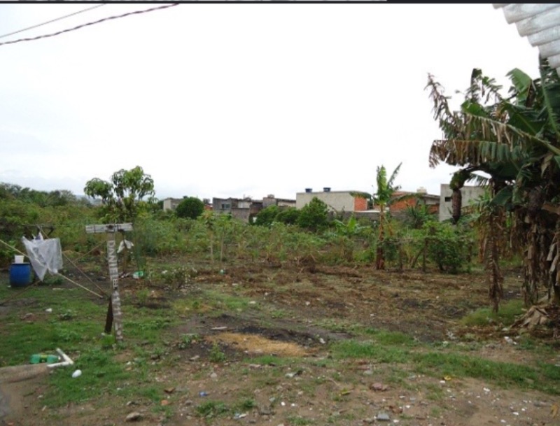 Terreno, 6000 m² - Foto 7