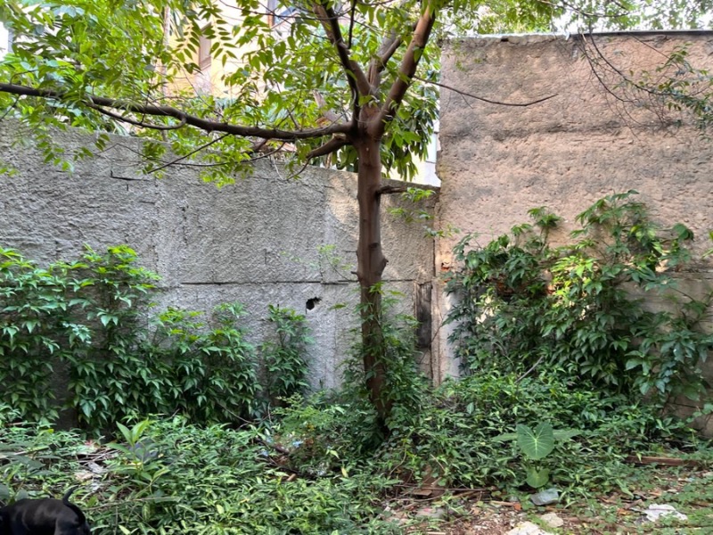 Terreno, 500 m² - Foto 6