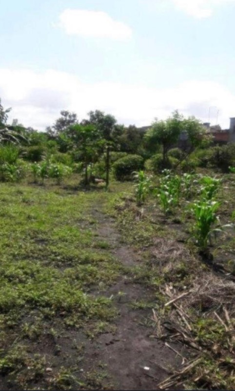 Terreno, 6000 m² - Foto 2