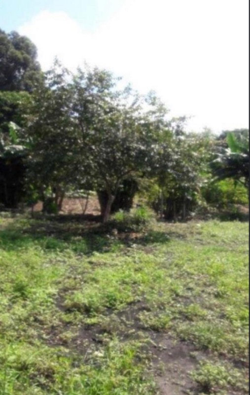 Terreno, 6000 m² - Foto 1