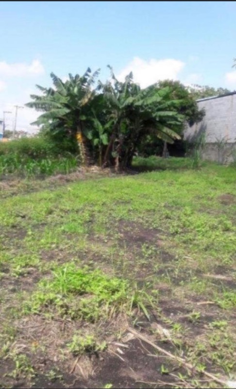 Terreno, 6000 m² - Foto 6