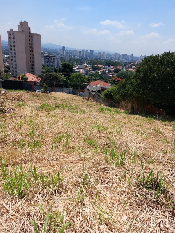 Terreno, 570 m² - Foto 5