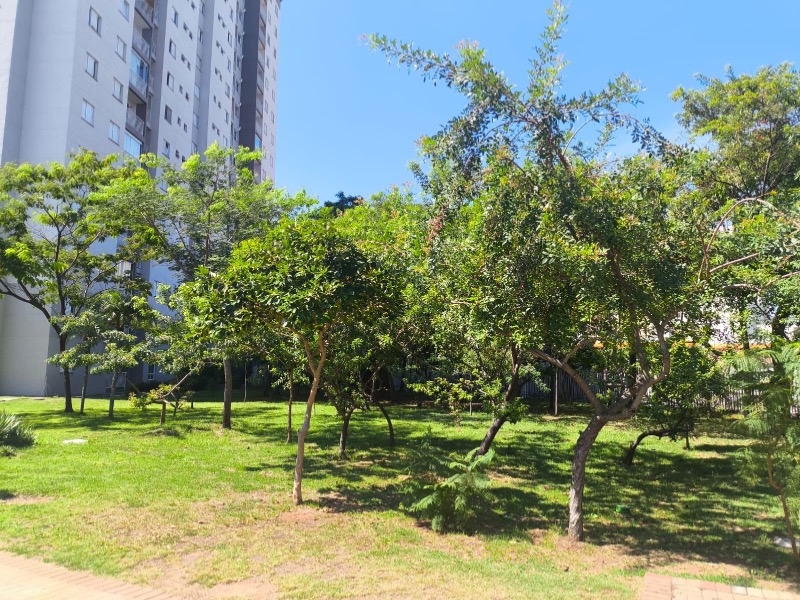 Apartamento, 2 quartos, 54 m² - Foto 41