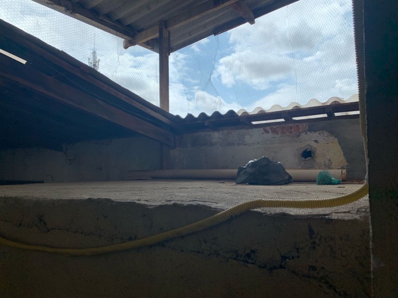 Depósito-Galpão, 431 m² - Foto 6