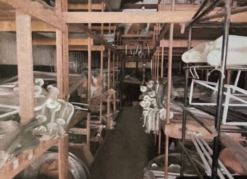 Depósito-Galpão, 300 m² - Foto 7