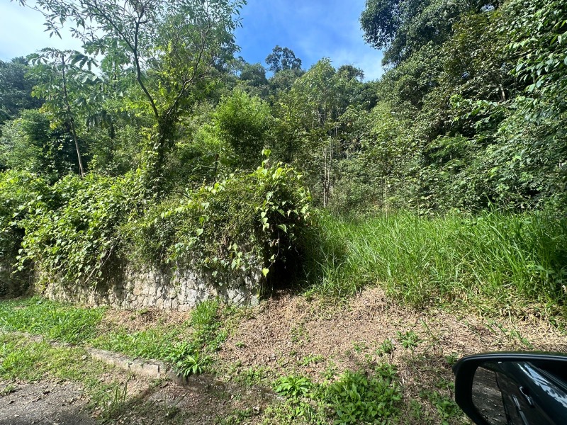 Terreno, 2045 m² - Foto 12