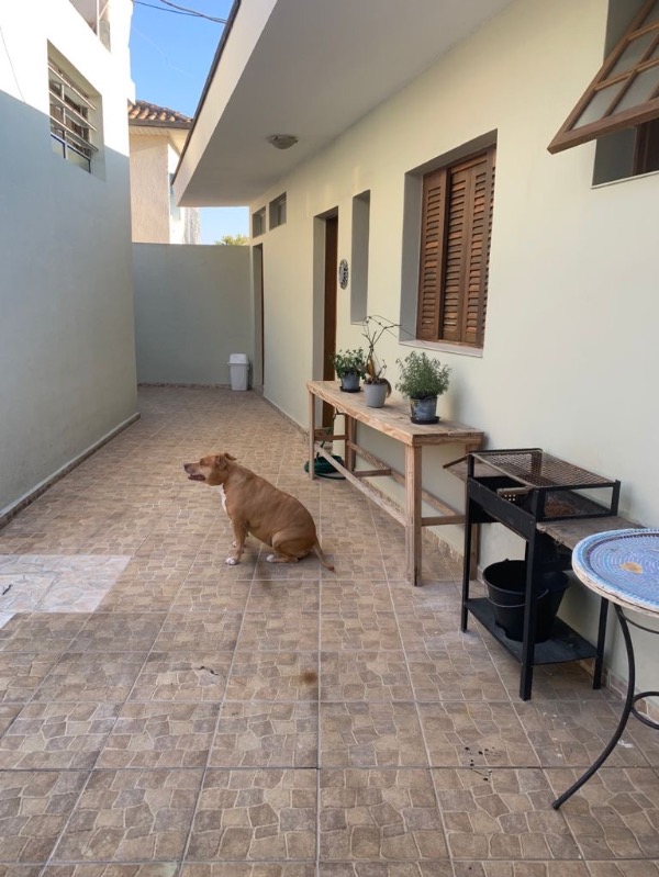 Casa, 4 quartos, 163 m² - Foto 19