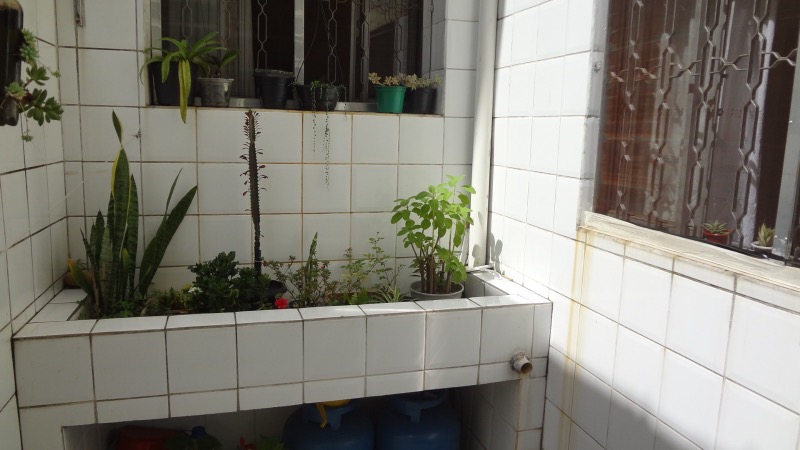 Casa, 4 quartos, 147 m² - Foto 34