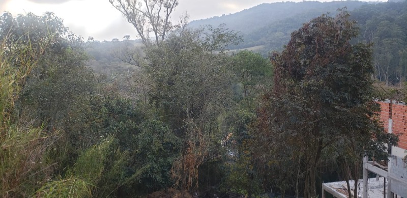Terreno, 387 m² - Foto 4