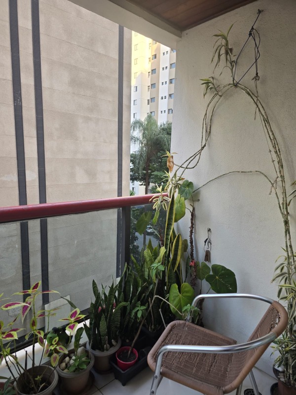 Apartamento, 3 quartos, 85 m² - Foto 11