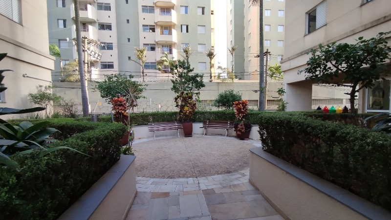 Apartamento, 3 quartos, 80 m² - Foto 31