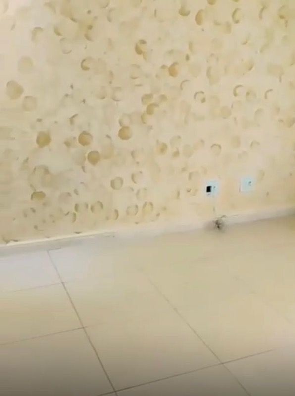 Casa, 3 quartos, 232 m² - Foto 13