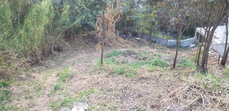 Terreno, 387 m² - Foto 3