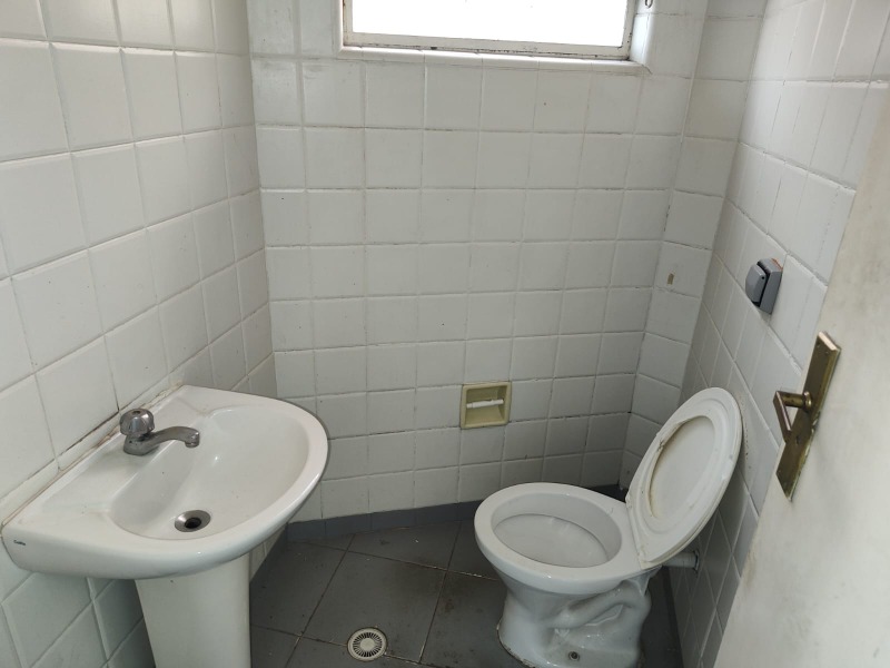 Casa, 3 quartos, 225 m² - Foto 40