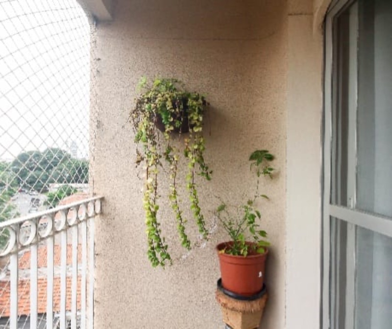Apartamento, 3 quartos, 74 m² - Foto 9