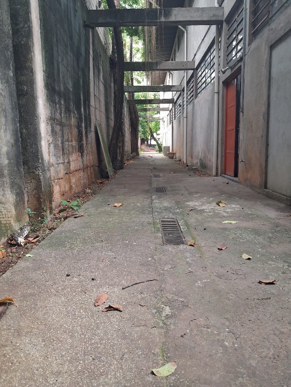 Prédio Inteiro, 627 m² - Foto 26