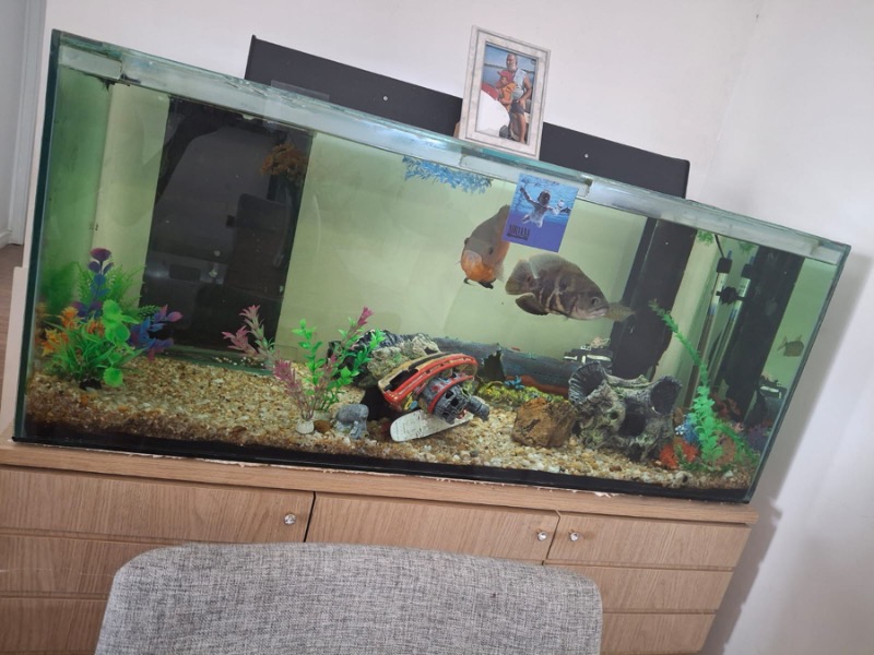 Apartamento, 3 quartos, 82 m² - Foto 13