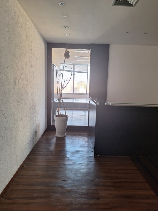 Sala-Conjunto, 285 m² - Foto 6