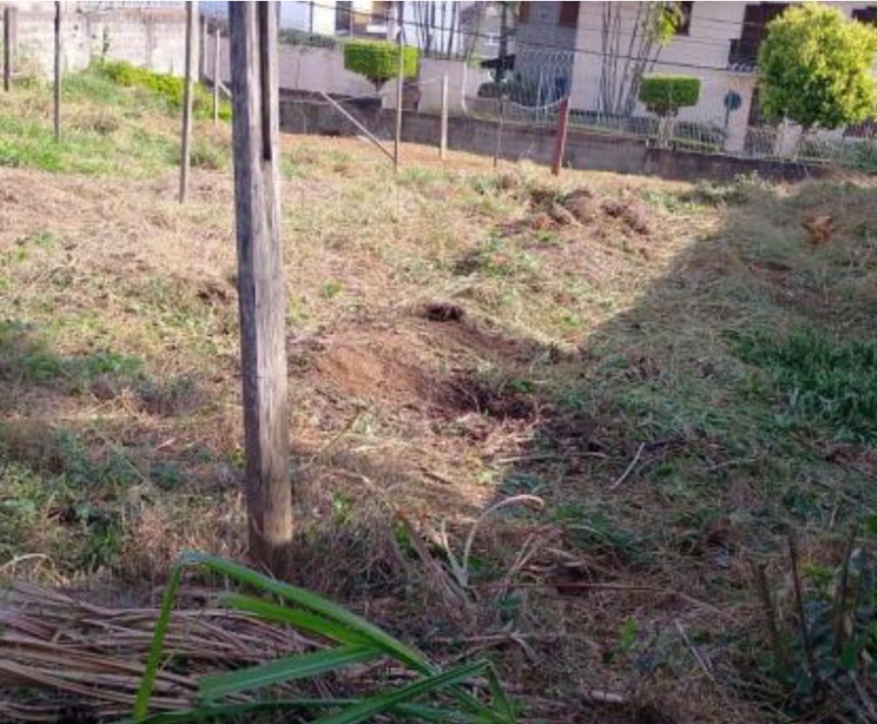 Terreno, 720 m² - Foto 5