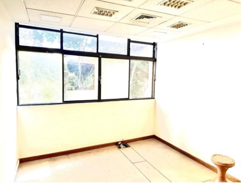 Sala-Conjunto, 600 m² - Foto 13