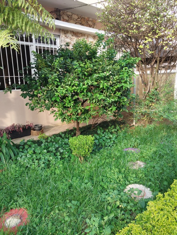 Casa, 3 quartos, 170 m² - Foto 32