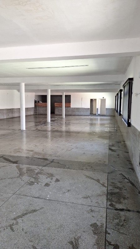 Sala-Conjunto, 300 m² - Foto 6