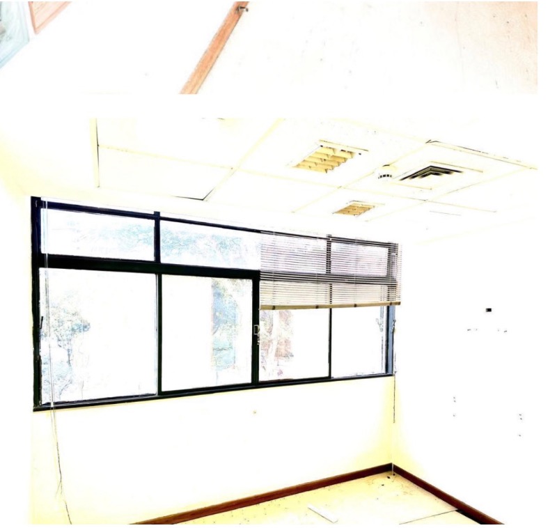 Sala-Conjunto, 600 m² - Foto 15