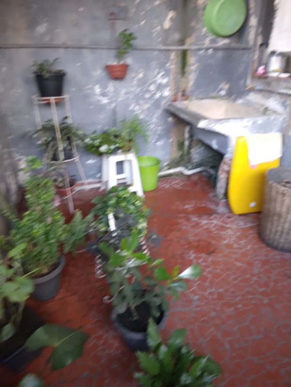 Casa, 4 quartos, 108 m² - Foto 17