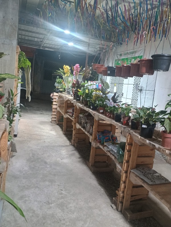 Prédio Inteiro, 120 m² - Foto 13
