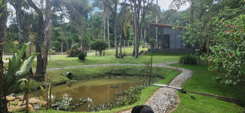 Sítio, 3 quartos, 270 m² - Foto 81