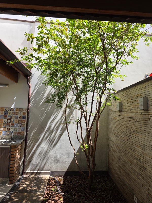 Casa, 3 quartos, 120 m² - Foto 77
