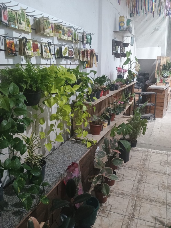 Prédio Inteiro, 120 m² - Foto 20