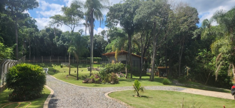 Sítio, 3 quartos, 270 m² - Foto 69