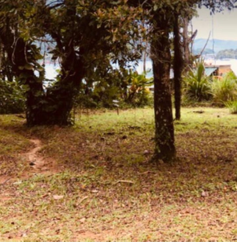 Terreno, 1000 m² - Foto 1