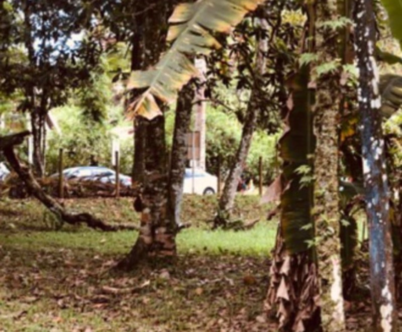 Terreno, 1000 m² - Foto 2