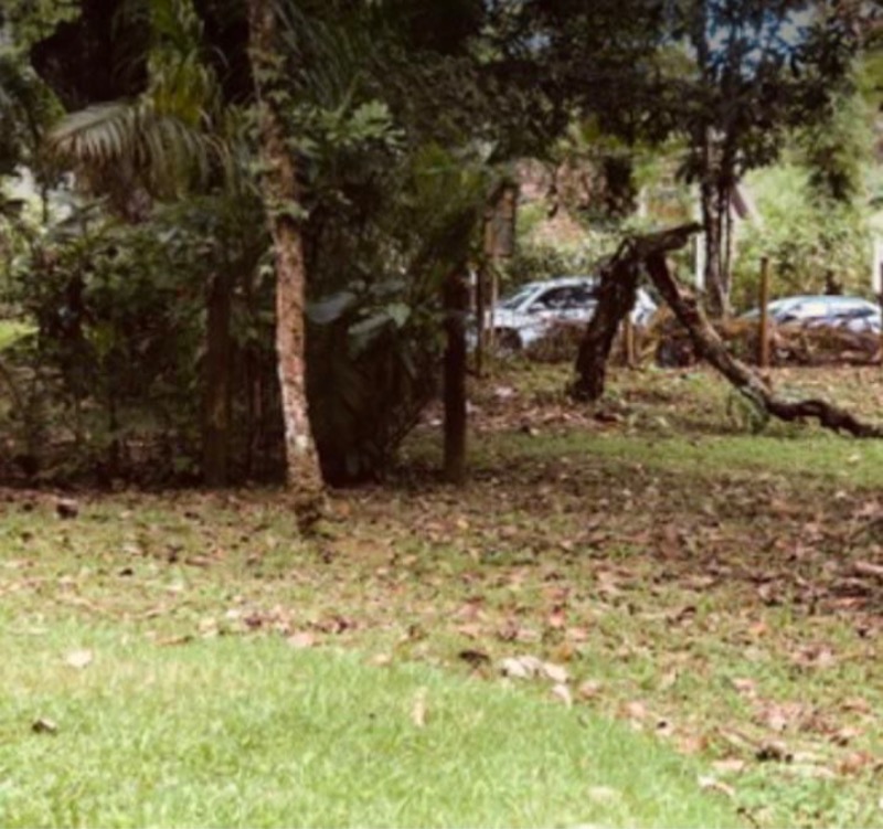 Terreno, 1000 m² - Foto 4