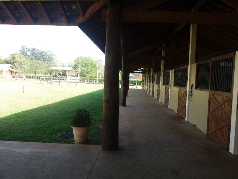 Fazenda à venda com 6 quartos - Foto 5