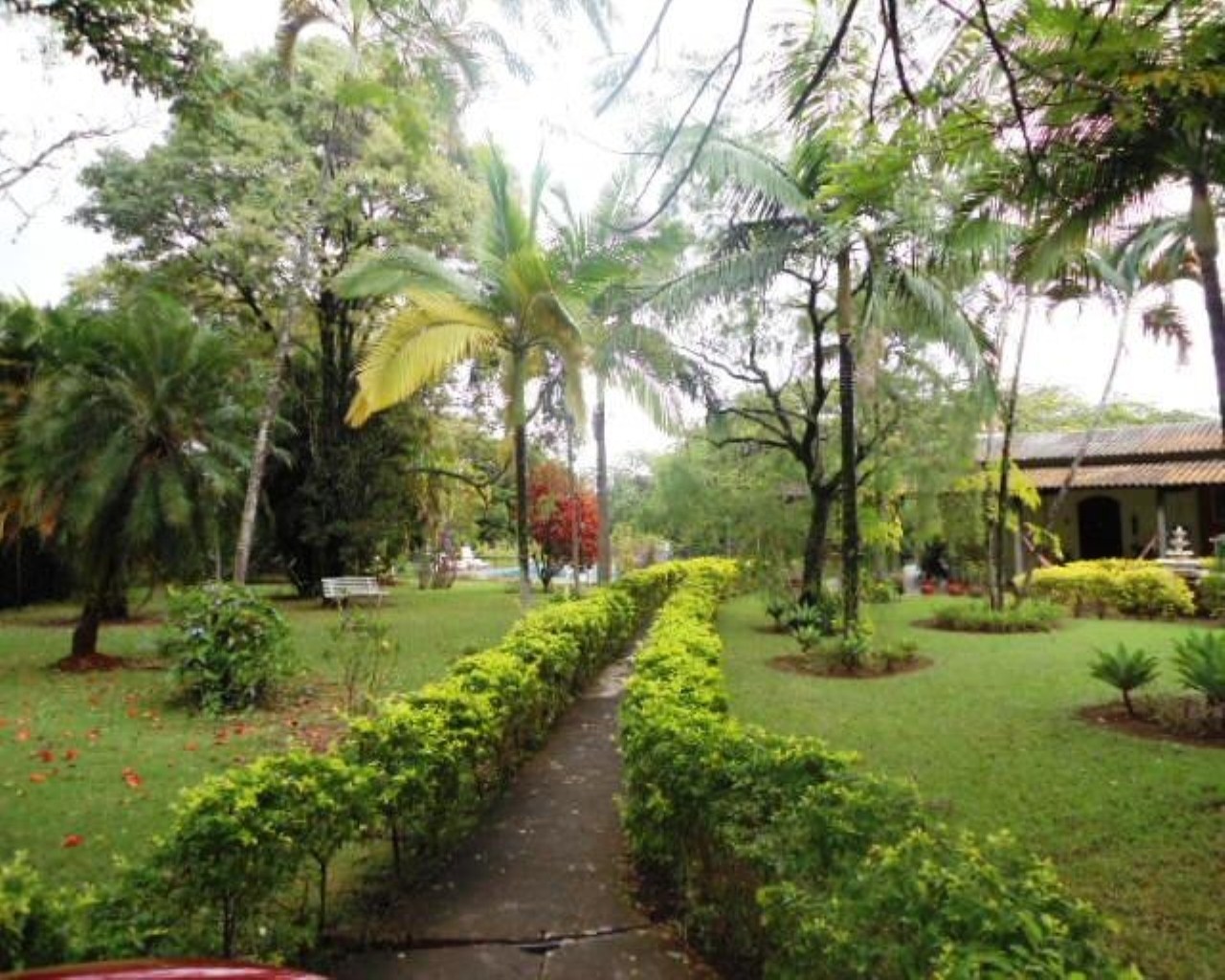 Fazenda à venda com 4 quartos, 847m² - Foto 3