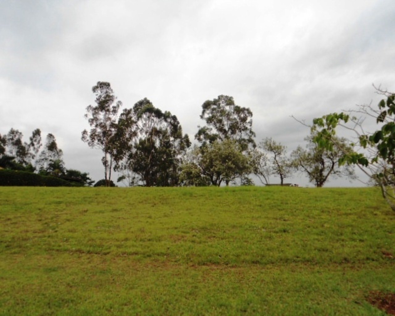 Terreno à venda - Foto 1