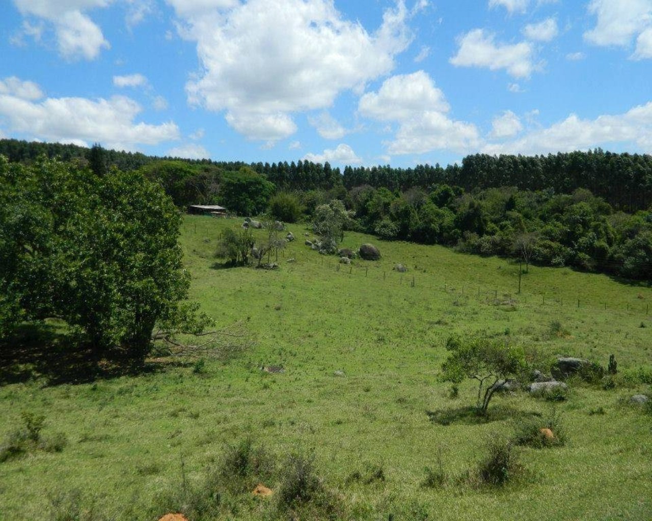 Fazenda à venda - Foto 1