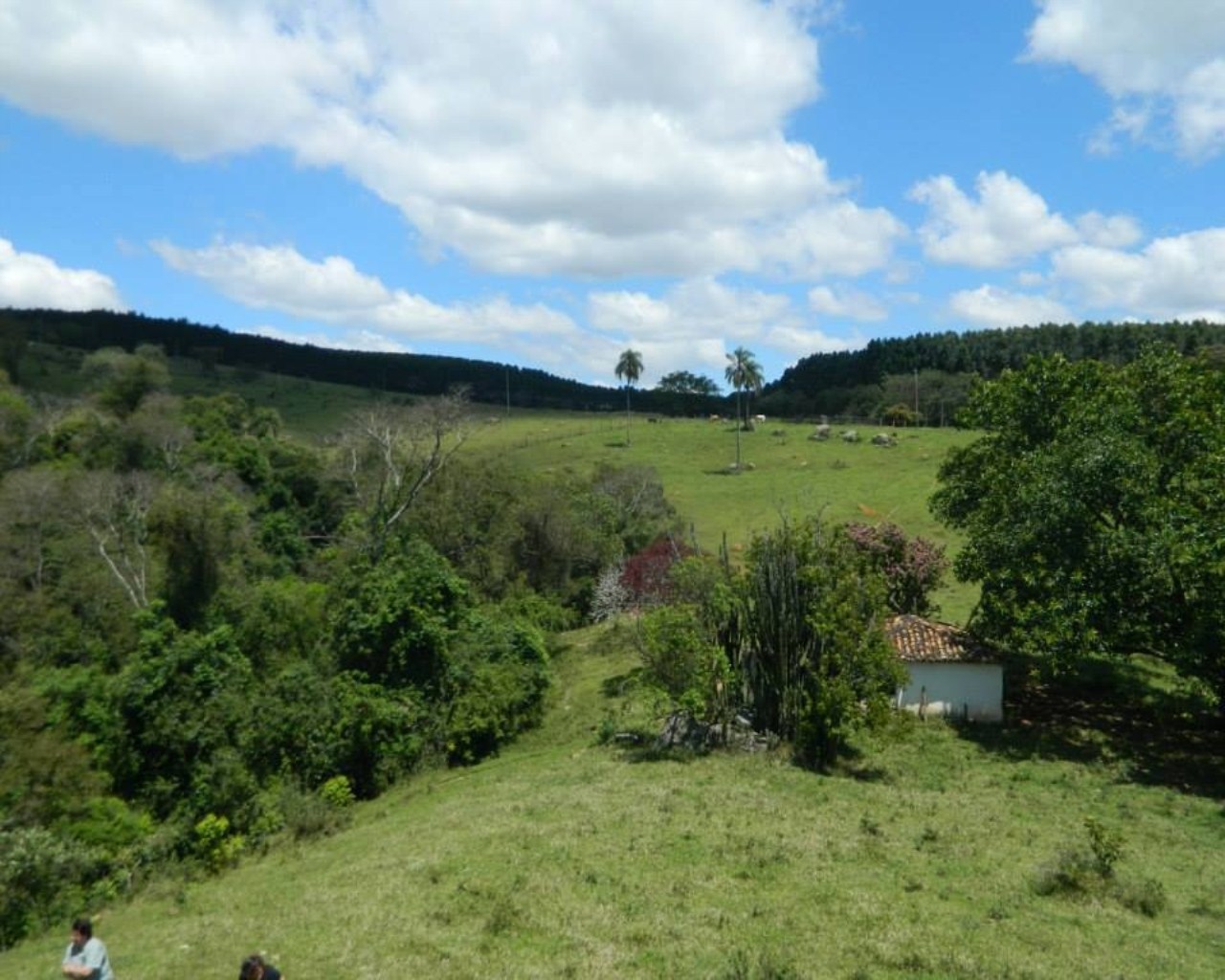 Fazenda à venda - Foto 2