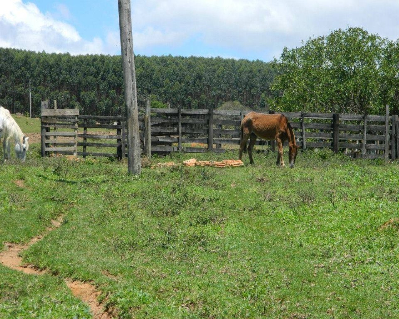 Fazenda à venda - Foto 3