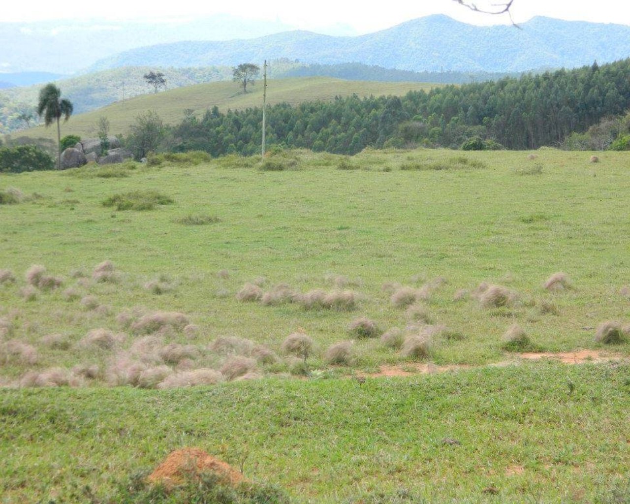 Fazenda à venda - Foto 4