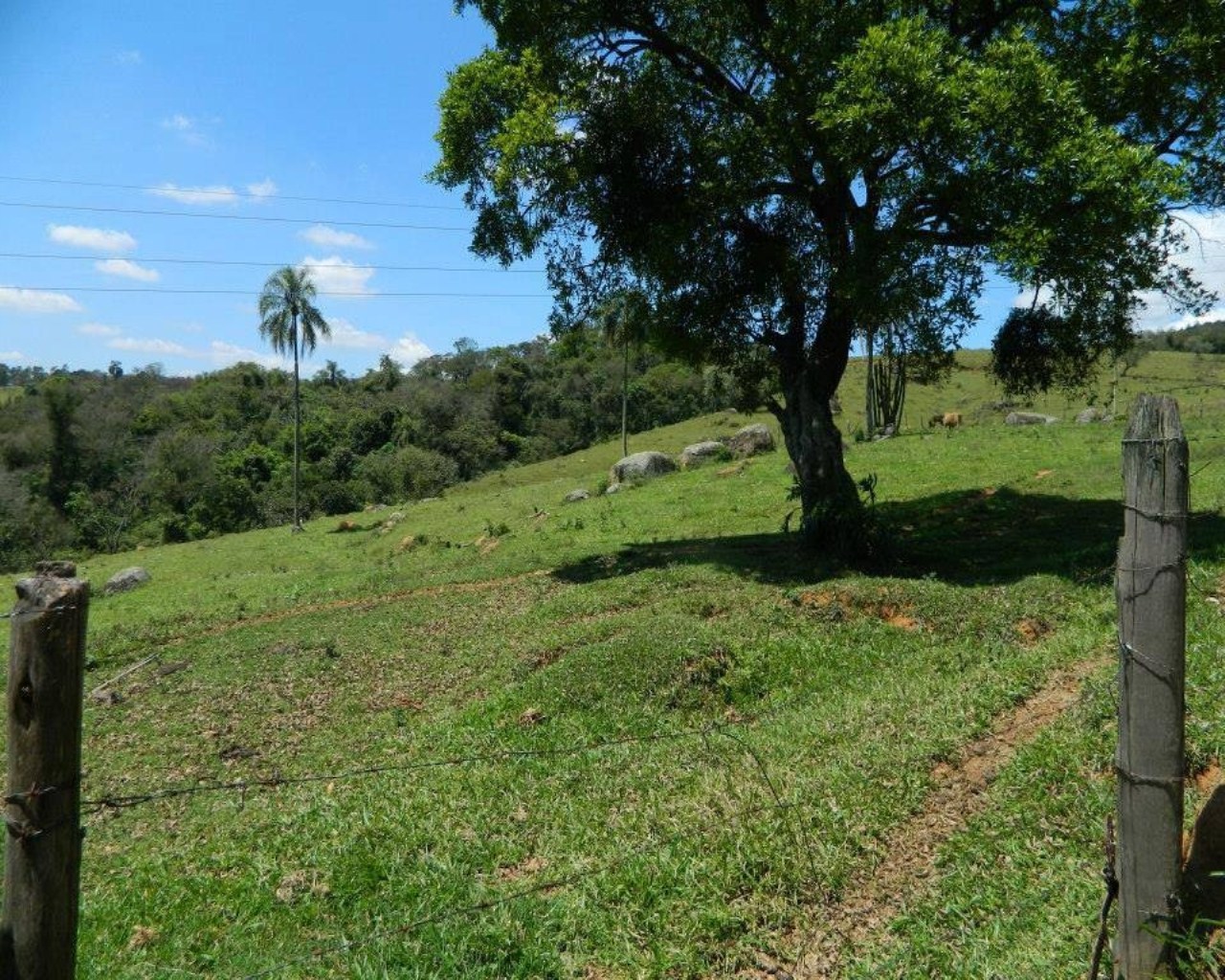 Fazenda à venda - Foto 5