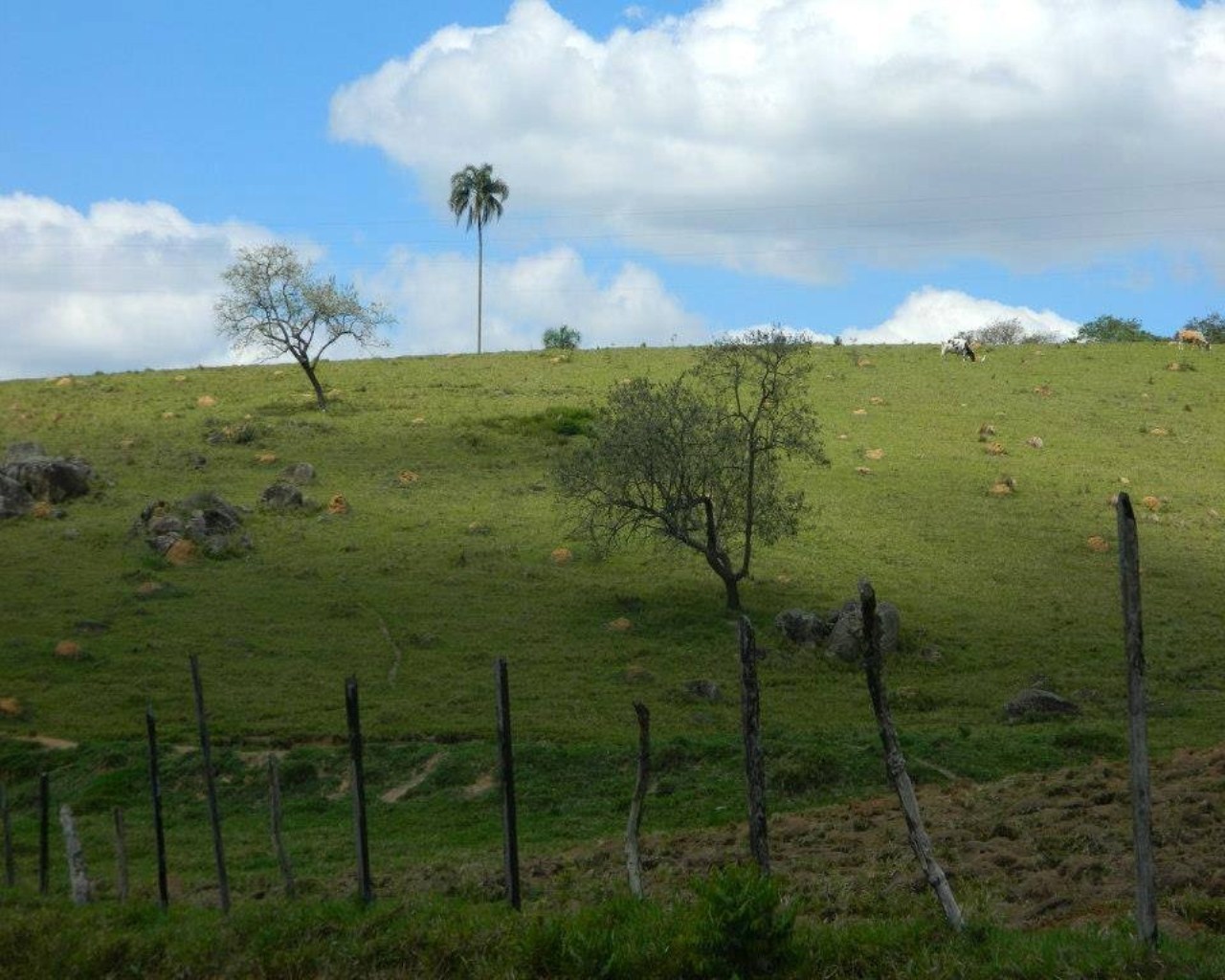 Fazenda à venda - Foto 6