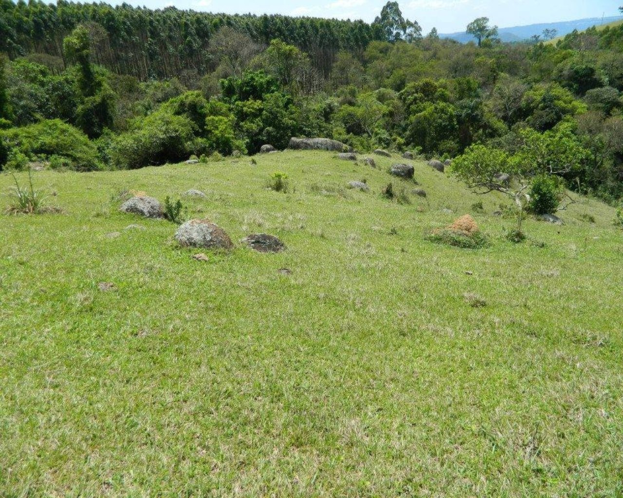 Fazenda à venda - Foto 8