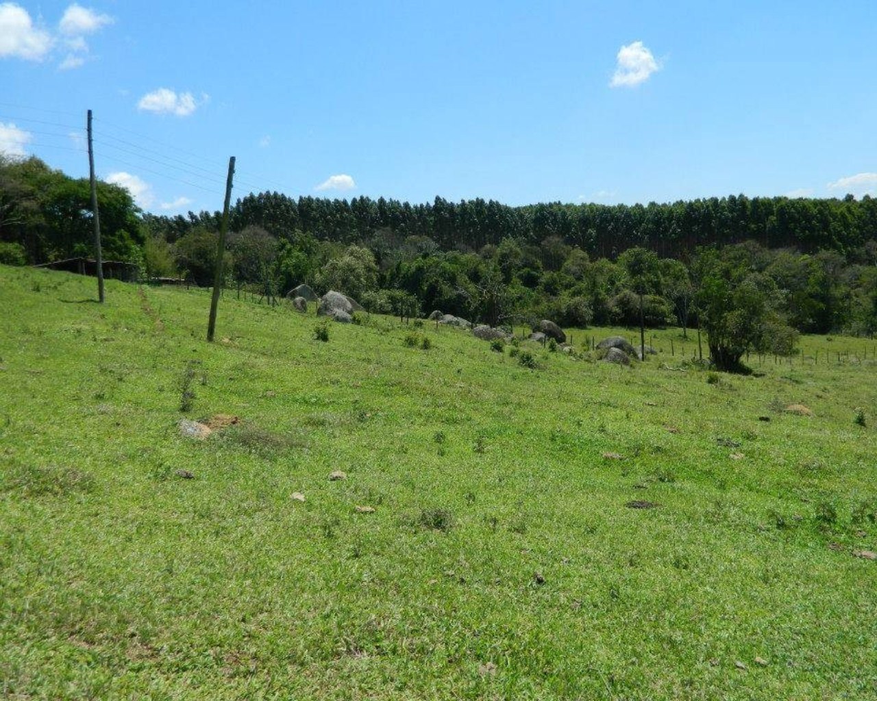 Fazenda à venda - Foto 9