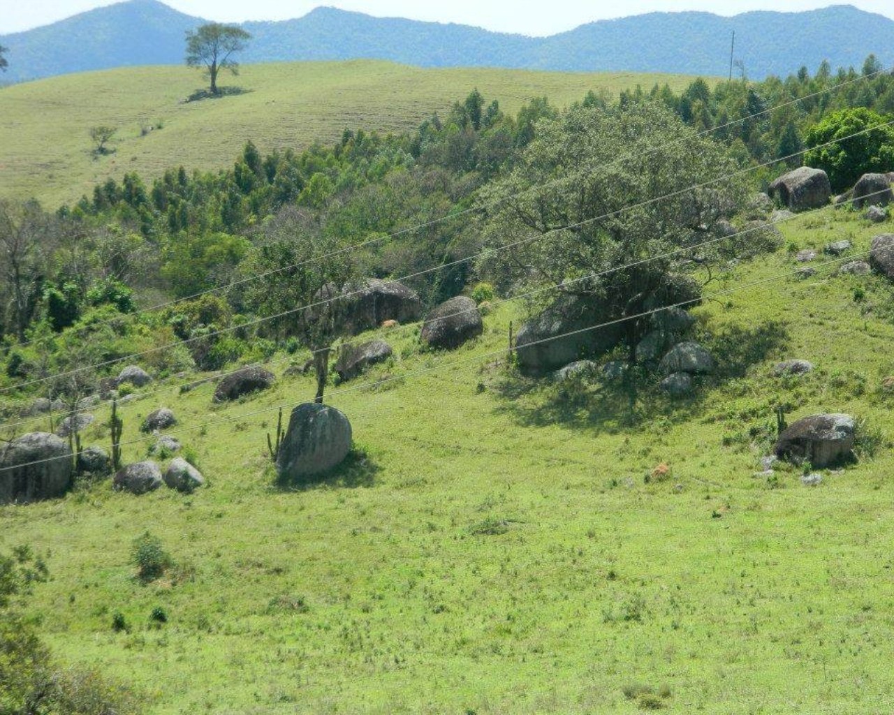 Fazenda à venda - Foto 10